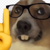 ilzj
