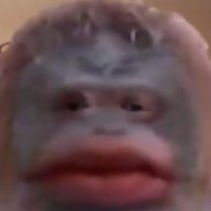 CrustyTheMoist