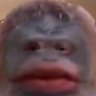 CrustyTheMoist